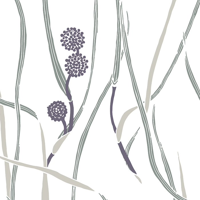 FAMILON PROFESSIONAL